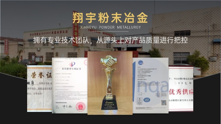 鐵基粉末冶金齒輪廠（鐵基粉末冶金表面處理）